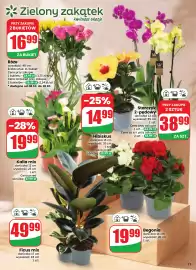 Dino gazetka tydzień 41 Strona 11