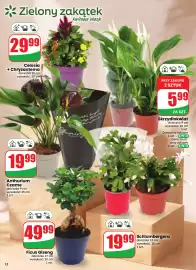 Dino gazetka tydzień 41 Strona 12