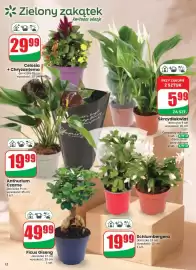 Dino gazetka tydzień 41 Strona 12