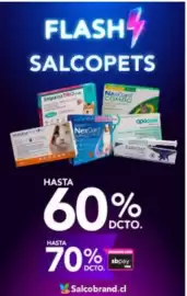 Catálogo Salcobrand Página 6