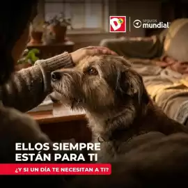 Catálogo Tiendas D1 Página 1