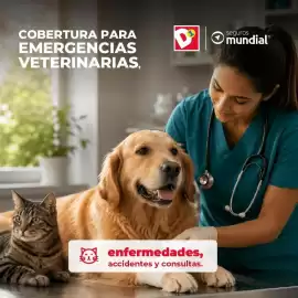 Catálogo Tiendas D1 Página 4