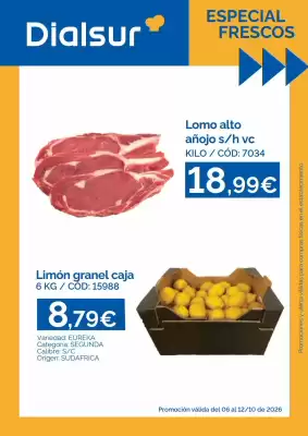 Folleto Dialsur Cash & Carry (válido hasta el 12-10)
