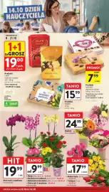 Intermarche gazetka tydzień 41 Strona 10: Pralinki Mieszko €7,99, Róża cięta €17,99