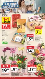 Intermarche gazetka tydzień 41 Strona 10: Pralinki Mieszko €7,99, Róża cięta €17,99