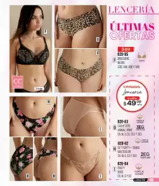Catálogo Cklass Página 242