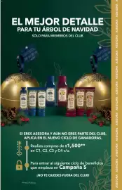 Catálogo Yves Rocher Página 131: Yves Rocher El Mejor Detalle Para Tu Árbol De Navidad €1.500,00