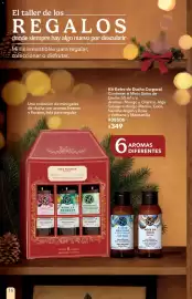 Catálogo Yves Rocher Página 16