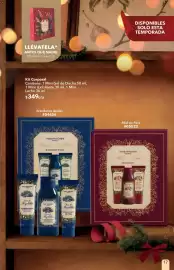 Catálogo Yves Rocher Página 17