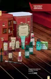 Catálogo Yves Rocher Página 21