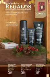 Catálogo Yves Rocher Página 33