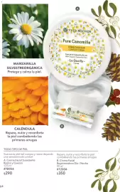 Catálogo Yves Rocher Página 64