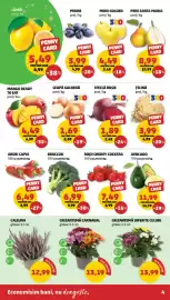 Catalog Penny săptămâna 41 Pagină 4