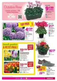 Catalogue Delbard page 3: Ecloz cyclamen ecloz €2,99, Ecloz mélange de bulbes de printemps ecloz €11,99