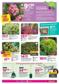 Catalogue Delbard page 5: Elaeagnus ebbingei viveleg €14,99, Ecloz pittosporum ecloz €11,49