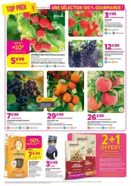 Catalogue Delbard page 6: Invivo nous on sème fruitiers gobelet invivo nous on sème €26,99