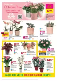Catalogue Delbard page 7: Bégonia €5,99, Orchidée bambou €14,99