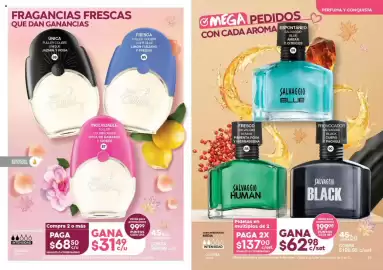 Catálogo Fuller Página 11