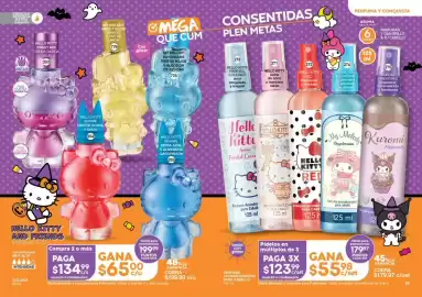 Catálogo Fuller Página 13