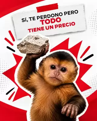 Super Colchones (válido hasta 10-10)