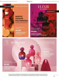 Catálogo Pigmento Página 5: Banderas woman the icon splendidd edp €58.900,00