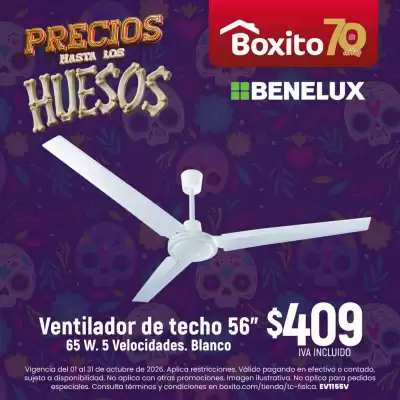 Boxito (válido hasta 31-10)