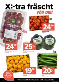 Coop Extra reklamblad vecka 42 Sida 4: Kvisttomater lösvikt €24,90, Röda druvor €24,90