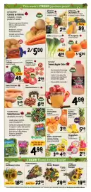Farm Boy flyer week 41 Page 4