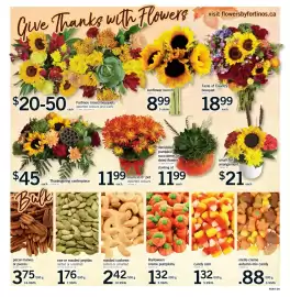Fortinos flyer Page 10