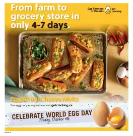 Fortinos flyer Page 25
