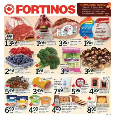 Fortinos (valid until 11-10)