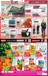 Catalogue Norma semaine 42 page 12: CANARD Bloc WC fraîcheur intense €0,94, Soled Essuie-tout €6,74