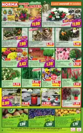 Catalogue Norma semaine 42 page 4: Végédis Callunas teintées €1,39, Arrangement de Toussaint €7,99
