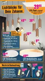 Hornbach Prospekt Seite 12
