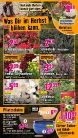Hornbach Prospekt Seite 18