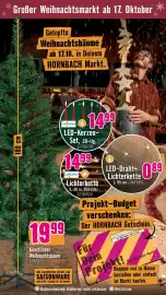 Hornbach Prospekt Seite 31