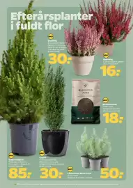 Netto tilbudsavis uge 41 Side 24