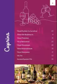 Catalog Carrefour | Alcool Pagină 2