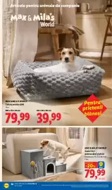 Catalog Lidl săptămâna 42 Pagină 38