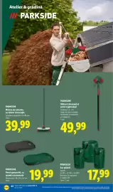 Catalog Lidl săptămâna 42 Pagină 42