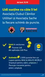 Catalog Lidl săptămâna 42 Pagină 49
