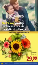 Catalog Lidl săptămâna 42 Pagină 52: Buchet de toamnă €29,99