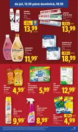 Catalog Lidl săptămâna 42 Pagină 67: W5 lavete pentru mop împotriva prafului €5,99, Johnson's gel de duș €11,99