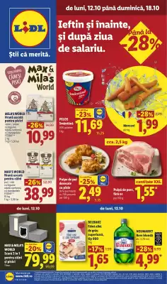 Catalog Lidl