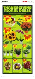 FreshCo flyer week 41 Page 6: Foliage 5" Plastic Pot €8,99, Tropicals 4" Pot €3,99