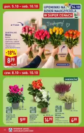ALDI gazetka Strona 10: Begonia Elatior Gardenline €14,99, Wrzos zwyczajny Gardenline €4,99
