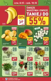ALDI gazetka Strona 12: Banany €3,49, Kalocefalus Browna Gardenline €6,99