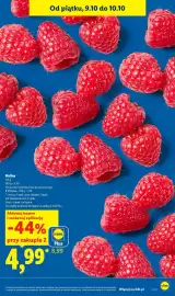 Lidl gazetka Strona 15
