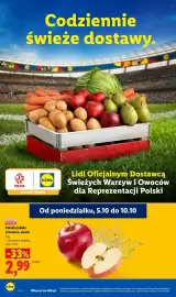 Lidl gazetka Strona 42: Polskie jabłka czerwone, luzem €2,99