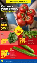 Lidl gazetka Strona 44: BIO Ogórki €2,99, Polska sałatka masłowa z korzeniem €5,49